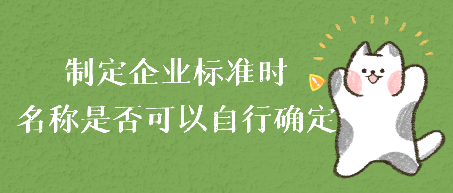 企业在制定企业标准的时候，名称是否可以自行确定?
